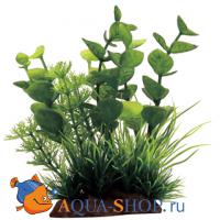 Композиция из искусственныx растений ArtUniq Бакопа, 10x5x12 см