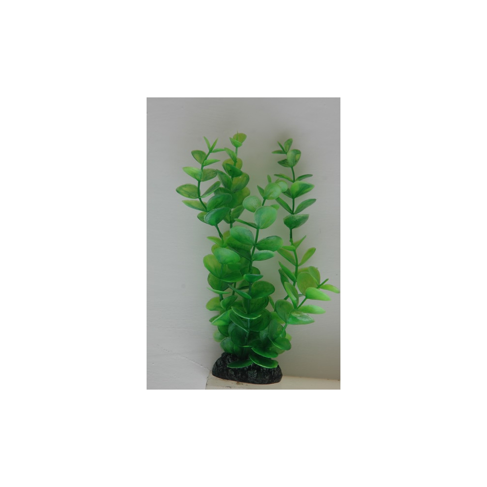 Растение пластиковое Монетница 30см зеленое