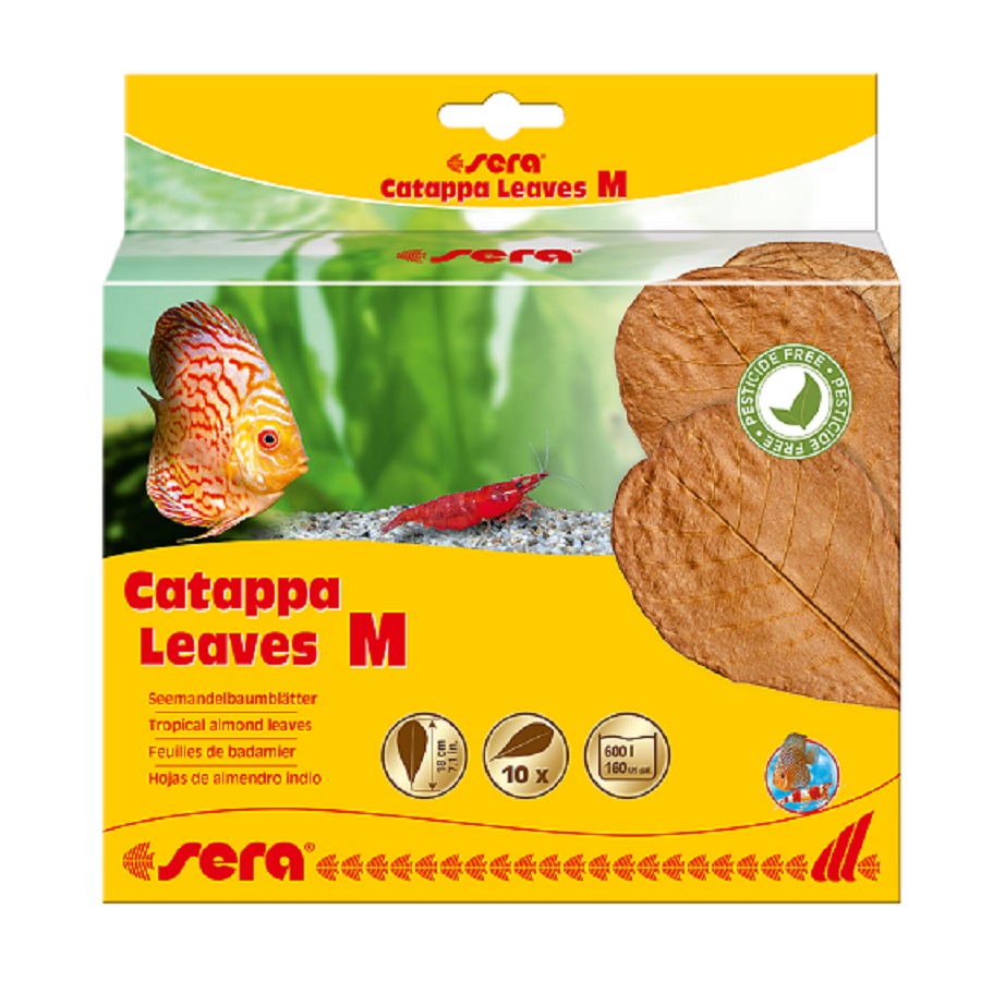 Листья миндального дерева Sera Catappa Leaves М, 18см (10шт)