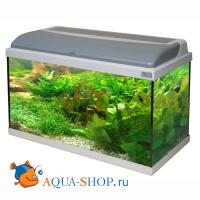 Аквариум AQUATLANTIS AQUADREAM 60  серебро  T8+FIL 60x30x40 см 54л