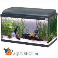 Аквариум AQUATLANTIS AQUADREAM 60  черный  LED 60x30x40 см 54л