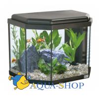 Аквариум AQUATLANTIS CALYPSO 40 черный 40х25х34см, 27л, LED 19 (leds)+FIL. Mini Biobox2