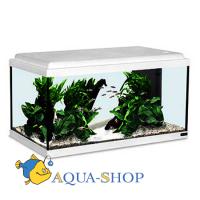 Аквариум AQUATLANTIS ATLANTIS 40 белый (025), 41,5x20,5x27,5см, 20л, LED 19 (leds)+FIL. Mini Biobox