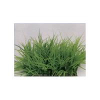 Растение пластиковое Коврик 25x25см, зеленое 83005_25