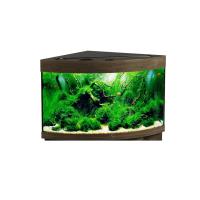 Аквариум Биодизайн ДИАРАМА 150 (светильник LED Sun Light) 130 л 63*63*52 см, золотой ореx