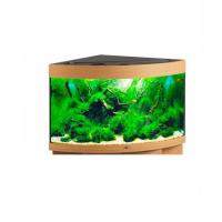 Аквариум Биодизайн ДИАРАМА 150 (светильник LED Sun Light) 130 л 63*63*52 см, бук