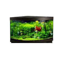 Аквариум Биодизайн ДИАРАМА 400 (светильник LED Sun Light) 350 л, 91*91*68 см, венге