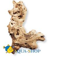 Коряга африканская Hagen Мопани  средняя
