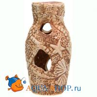 Амфора звезда