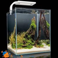 Аквариум Aquael Shrimp Set 20 для креветок SMARTPLANT белый 20л