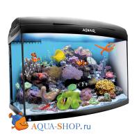 Аквариум морской Aquael REEF MASTER LED / черный (105 л) (LT 12W Marine - 2 шт. + LT 12W Actinic - 1 шт.)