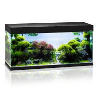 Аквариум AQUAEL OPTI SET 240 ЧЕРНЫЙ, 240л 121x41x56см.(Leddy Tube Day&Night 2x17Вт)