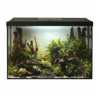 Аквариум Aquael LEDDY XL D/N 60 2.0 прямой черный 72л
