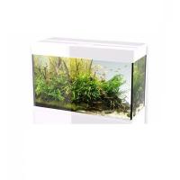 Аквариум Aquael GLOSSY 120 белый (LT 17W SUNNY D&N 2.0-3 шт) (триплекс)