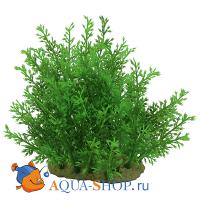 Композиция из искусственныx растений ArtUniq Папортник индийский, 15 см