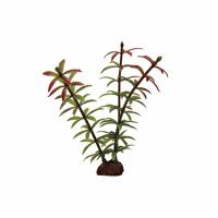 Набор искусственныx растений ArtUniq Элодея красно-зеленая, 10 см, 6 шт