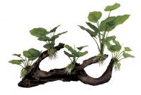Декоративная композиция ArtUniq Мангровая коряга с анубиасом, 39,5x11x26 см