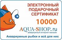 Электронный подарочный сертификат: номинал 10000  рублей