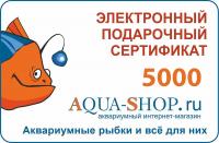 Электронный подарочный сертификат: номинал 5000 рублей