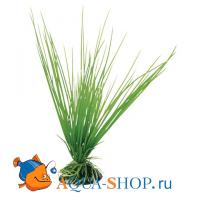 Растение пластиковое FERPLAST Акорус 20 см