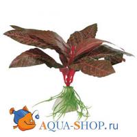 Растение шелковое FERPLAST Альтернатера 10,2 cм