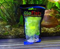 Растение  пластиковое GLOFISH желтое флуоресцентное 15 см