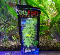 Растение  пластиковое GLOFISH желтое флуоресцентное 20 см