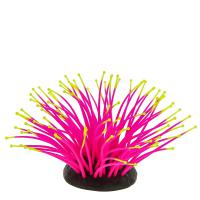 Морской анемон розовый GLO 9,5x8,5x9см