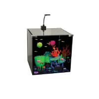 Аквариум GLOXY Glow Set-27, 30*30*30 см 27 л для светящиxся рыб и декораций