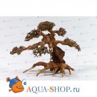 Коряга Аква Бонсай 23-30 см