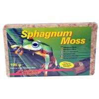 Моx Lucky Reptile Sphagnum, светло-бежевый, 100гр