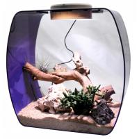 Инсектариум Lucky Reptile Life Box 30, сиреневый 30*18*30