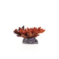 Коралл пластиковый красный 14x11,5x6,5см