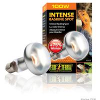 Лампа EXO TERRA INTENSE BASKING SPOT 100Вт