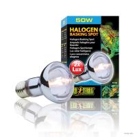 Лампа галогеновая Hagen EXO TERRA 50w
