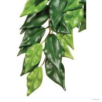 Растение для террариумов Hagen EXO TERRA FIKUS Medium