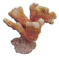 Коралл пластиковый REPLICA LIVE CORAL L170 x W140 x H155 мм оранжевый