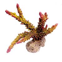 Коралл пластиковый REPLICA LIVE CORAL L220 x W120 x H170мм оранжевый