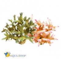 Коралл пластиковый REPLICA LIVE CORAL L210 x W190 x H165 мм оранжевый