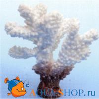 Коралл пластиковый белый 10*7*12 см