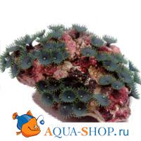 Композиция из кораллов пластиковая 22x18x10см 3
