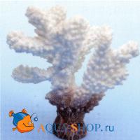 Композиция из кораллов пластиковая белая 10,2*7,2*12 см
