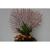Композиция из кораллов пластик+силикон 26x18x22см