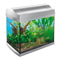 Аквариум Tetra для креветок AquaArt Shrimps Discover Line 20л