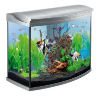 Аквариум Tetra AquaArt Evolution Line 130 л 77*38*66