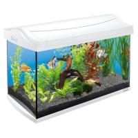 Аквариум Tetra AquaArt Discover Line белый 60 л