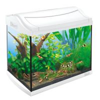 Аквариум для креветок AquaArt Shrimps Discover Line белый 20л 38x26x34см