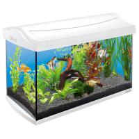 Аквариум Tetra AquaArt  LED Tropical 60л белый