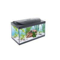 Аквариум Tetra Starter Line LED, 54л