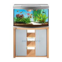 Аквариум с тумбой Tetra Evolution Line 100 серебро/бук